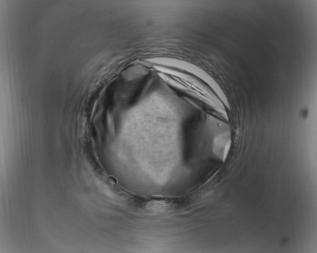X0000116270231200912211805