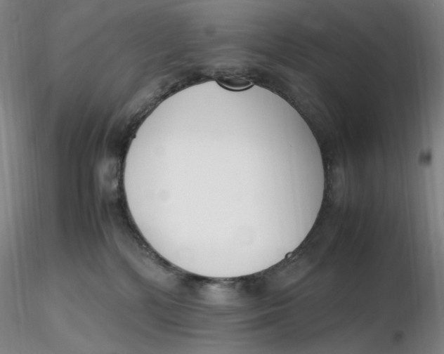 X0000116270232200912211805