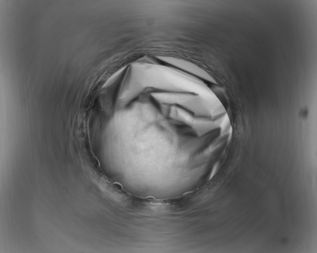 X0000116270233200912211805