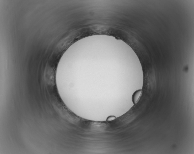 X0000116270234200912211805