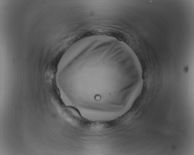 X0000116270235200912211805