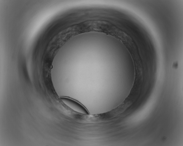 X0000116270239200912211804
