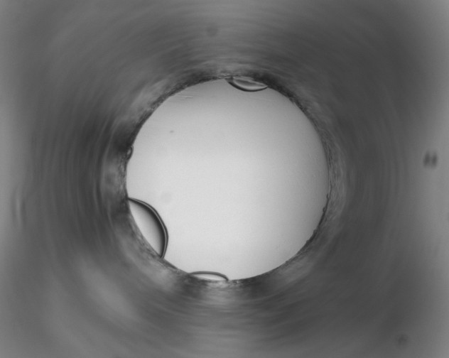 X0000116270240200912211804