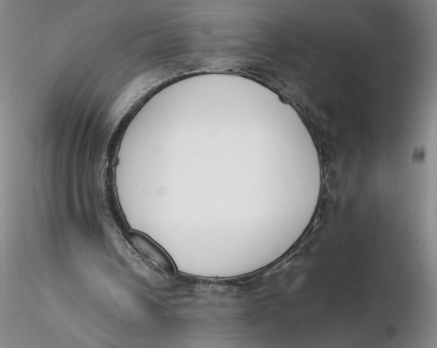 X0000116270242200912211804