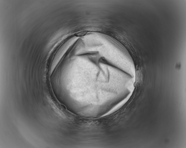 X0000116270243200912211804