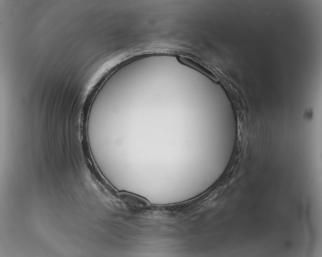X0000116270244200912211804