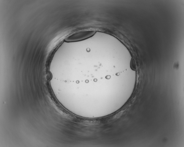 X0000116270245200912211804