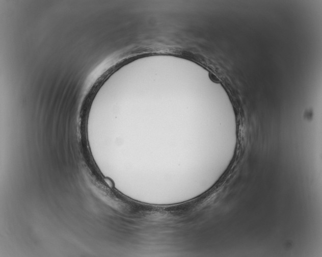 X0000116270246200912211804