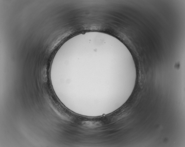 X0000116270251200912211804