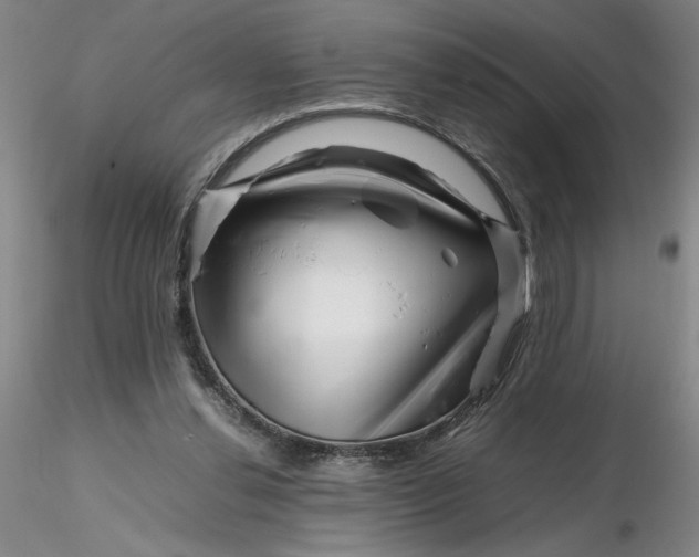 X0000116270252200912211804