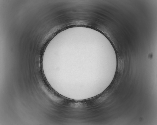 X0000116270253200912211804
