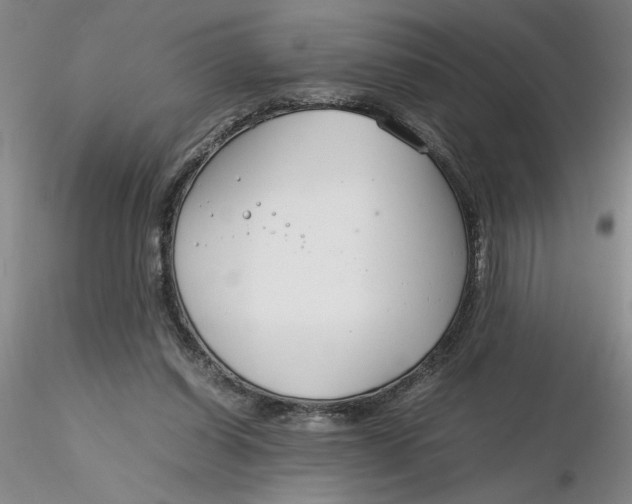 X0000116270254200912211804