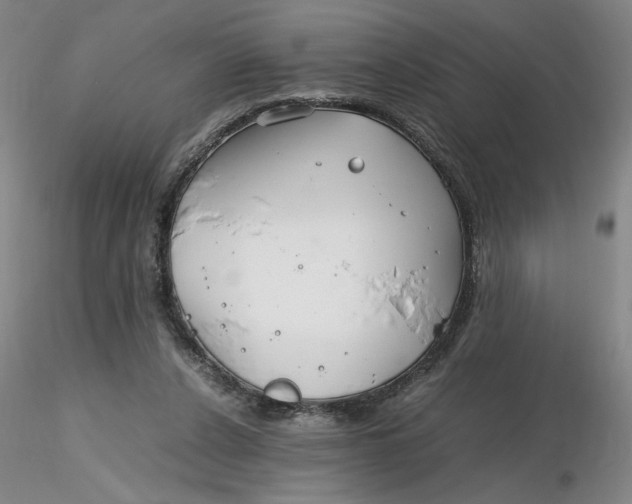 X0000116270256200912211804
