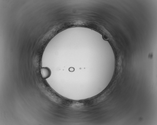 X0000116270257200912211804