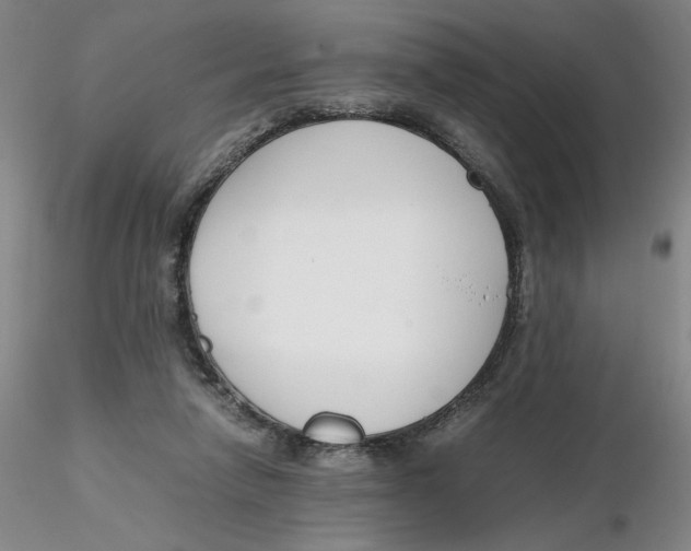X0000116270258200912211804
