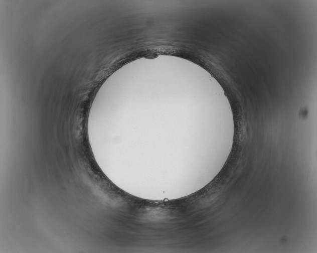 X0000116270259200912211804