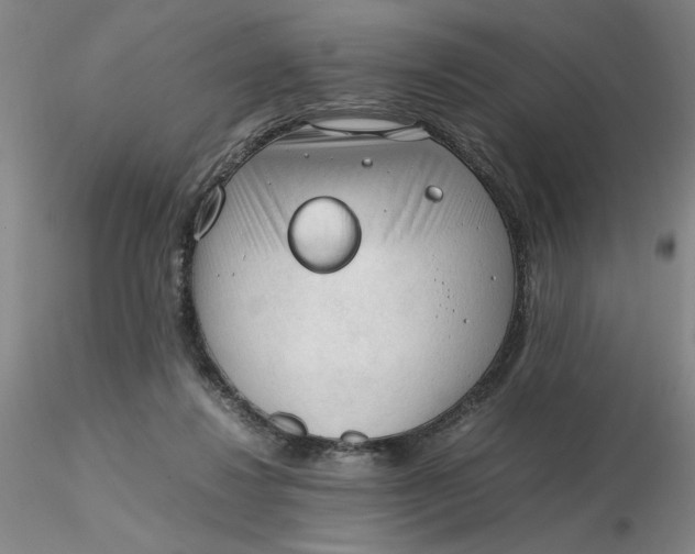 X0000116270260200912211804