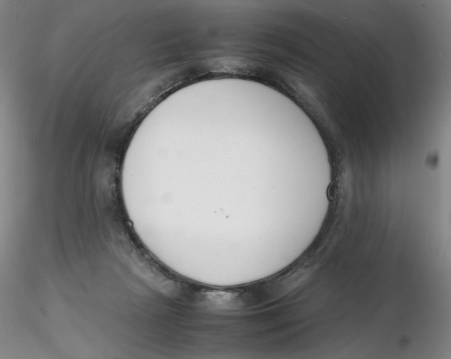 X0000116270265200912211804