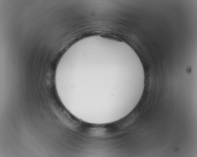 X0000116270266200912211804
