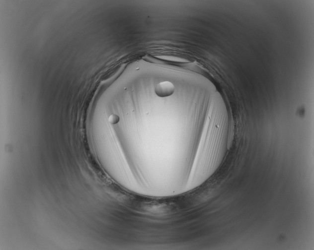X0000116270267200912211804