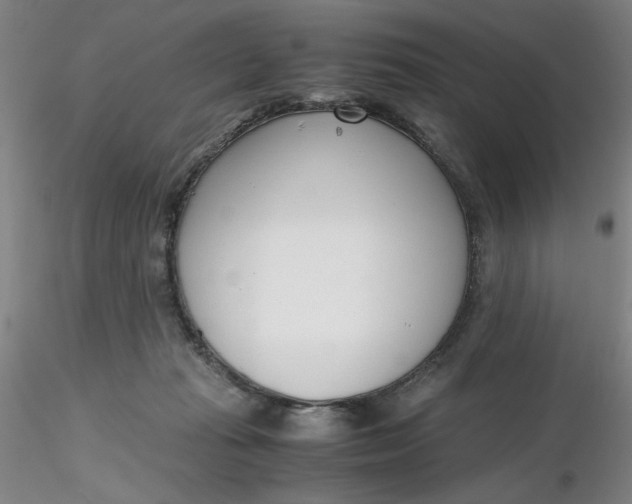 X0000116270269200912211804