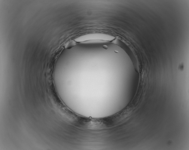 X0000116270270200912211804