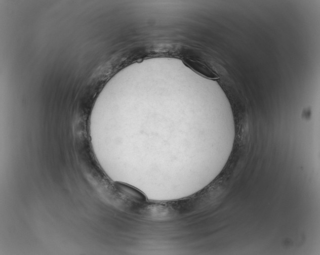 X0000116270272200912211804