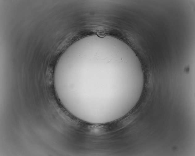 X0000116270273200912211804
