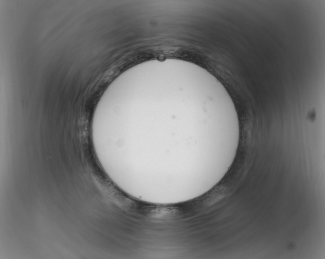 X0000116270274200912211804