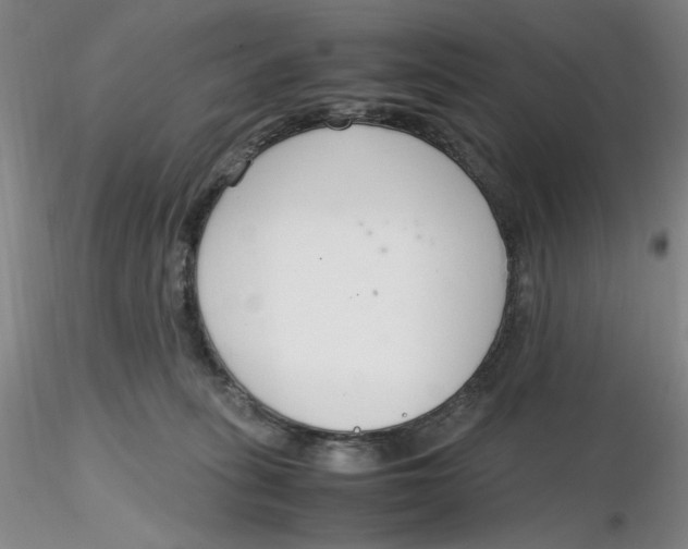 X0000116270275200912211804