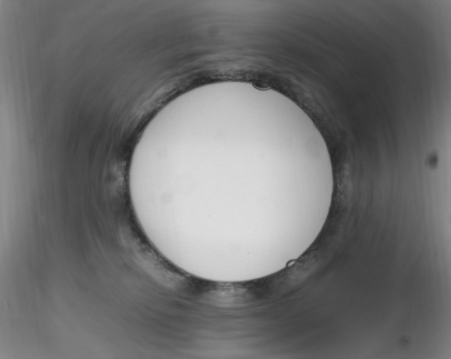X0000116270278200912211804