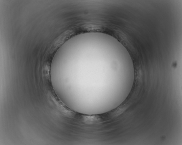 X0000116270281200912211804
