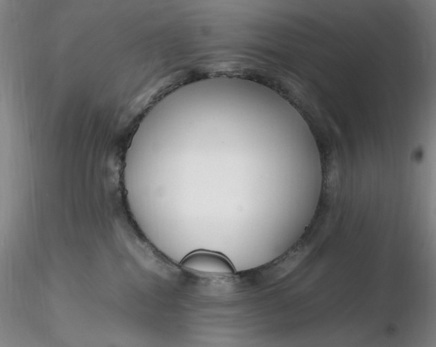 X0000116270282200912211804