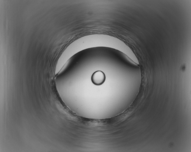 X0000116270284200912211804