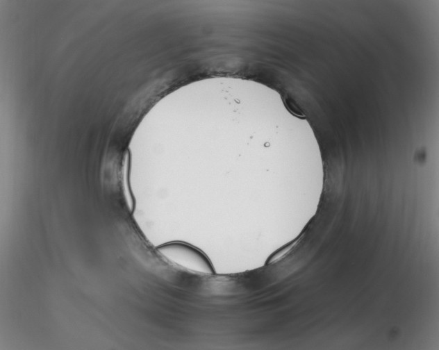 X0000116270287200912211804