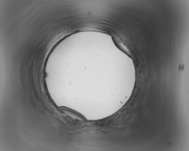 X0000116270289200912211804
