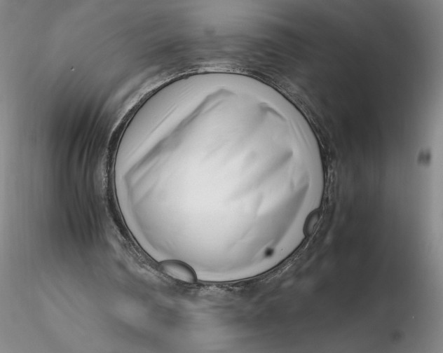 X0000116270290200912211804