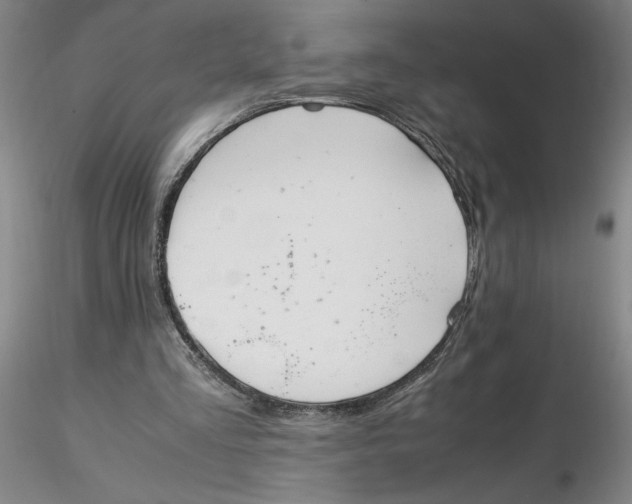 X0000116270293200912211804