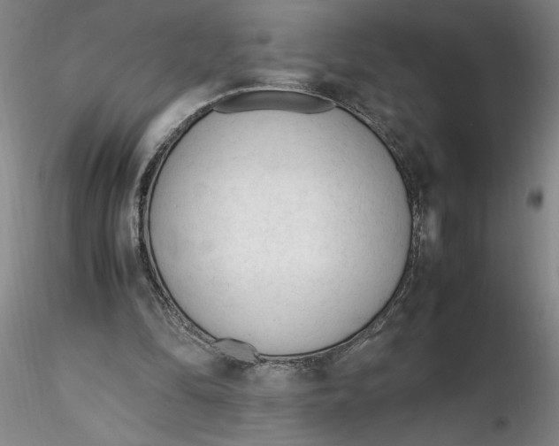 X0000116270294200912211804