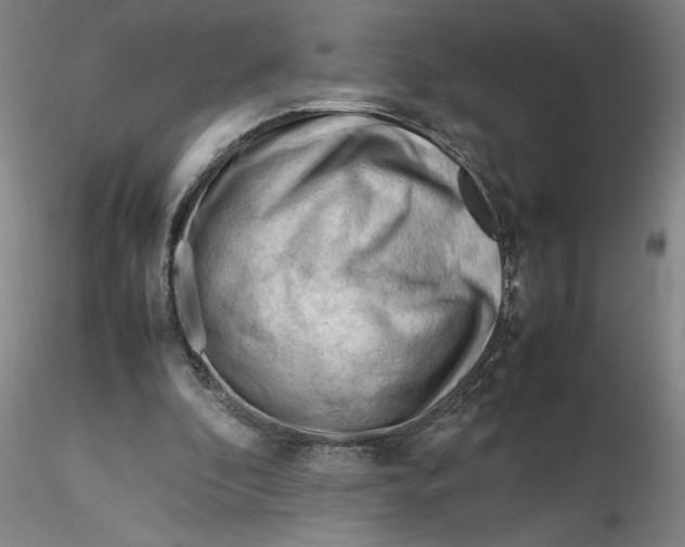 X0000116270296200912211804