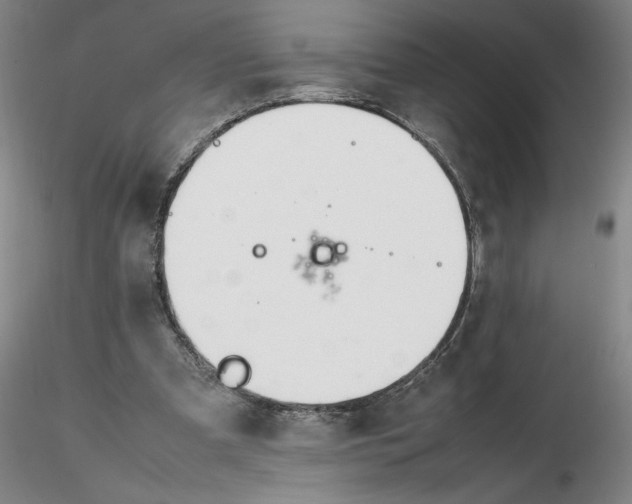 X0000116270297200912211804