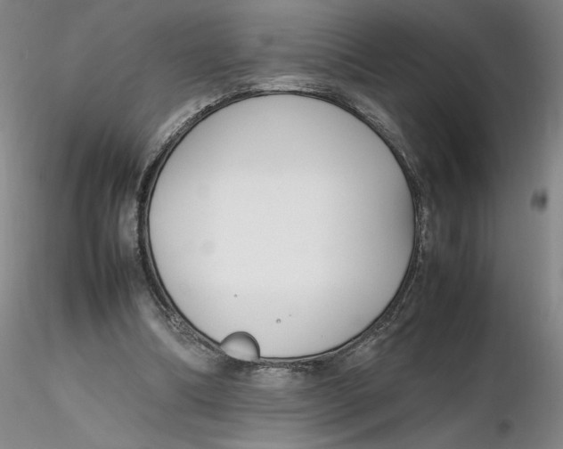 X0000116270298200912211804