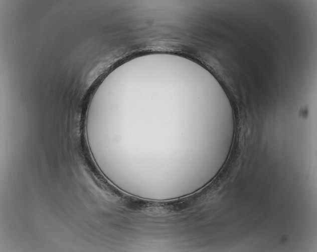 X0000116270299200912211804