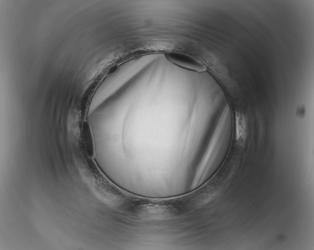 X0000116270300200912211804