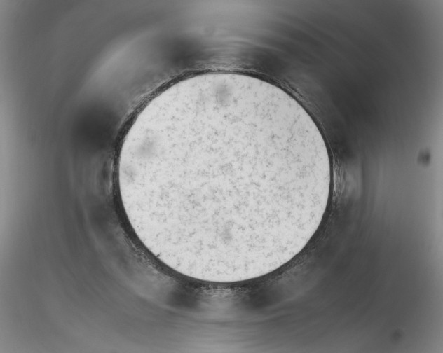 X0000116270301200912211804
