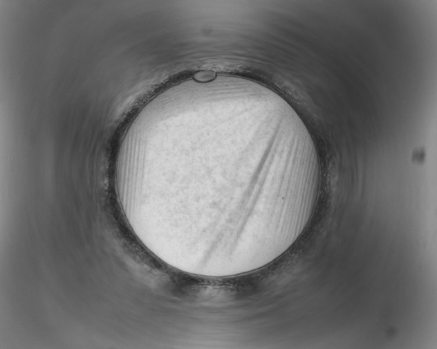 X0000116270303200912211804