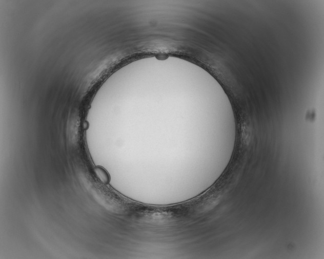 X0000116270304200912211804
