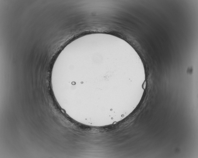 X0000116270305200912211804