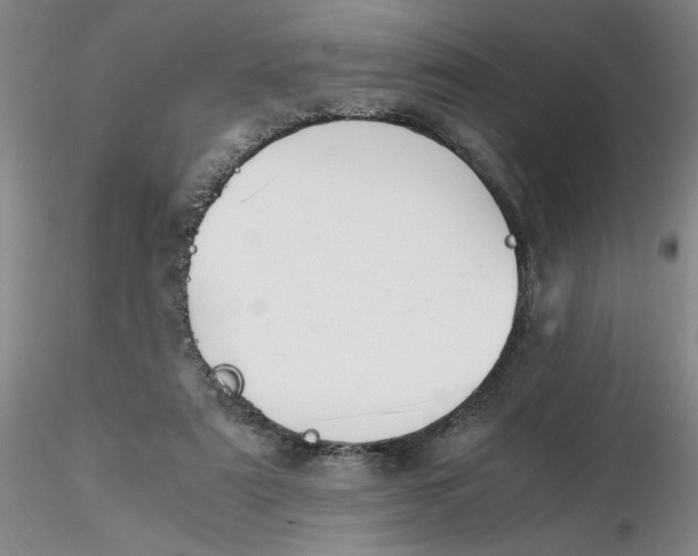X0000116270307200912211804