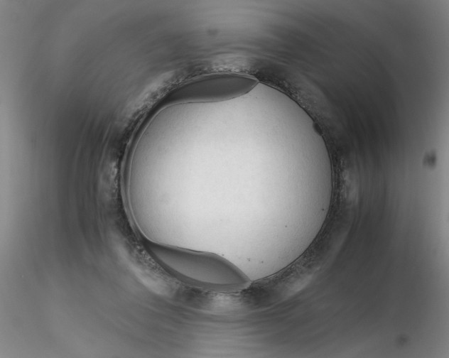 X0000116270308200912211804
